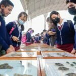 Con Éxito Concluyeron los Talleres de Reciclado y Exhibición de Mariposas