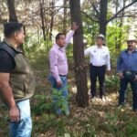 Medio Ambiente Atiende Plaga Forestal en el Parque Ecológico Bernal