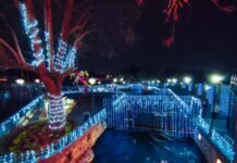 Autoridades Invitan a Disfrutar de la Decoración Navideña del Parque Lineal Cupatitzio