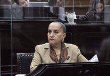 Hay que Acabar con Barreras Legales que Obstaculizan Plena Inclusión de las Personas con Especto Autista: Julieta Gallardo