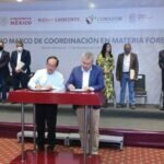 Busca Bedolla Descentralizar en Michoacán Funciones Federales en Material Forestal