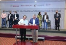 Busca Bedolla Descentralizar en Michoacán Funciones Federales en Material Forestal