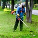Parques y Jardines Implementa Operativos en Áreas Verdes
