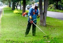 Parques y Jardines Implementa Operativos en Áreas Verdes
