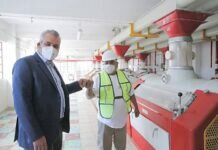 Respalda Bedolla Reactivación de Harinera Para Impulsar a Productores de Trigo Michoacanos