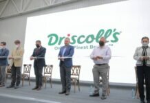 Inaugura Bedolla Frigorífico de Driscoll’S, con Inversión de 500 mdp
