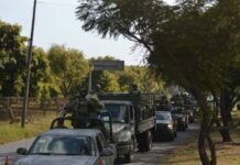 Arriban 300 Elementos de la SEDENA Para Fortalecer las Tareas de Seguridad