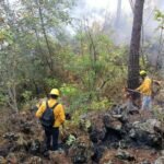 Sofocado el Incendio en la Zona de Montaña del Parque Nacional