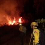 Totalmente Sofocado Incendio Forestal en el Cerro de Jicalán
