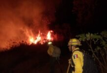 Totalmente Sofocado Incendio Forestal en el Cerro de Jicalán