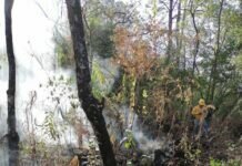 Brigada Delfines Controla Incendio Forestal en el Cerro de Jicalán