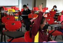 SEP Pone fin a los Grados Escolares. Conoce las 6 Fases de Aprendizaje que Propone
