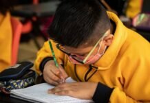 SEP Elimina Grados Escolares en Primarias y Secundarias, Ahora Serán Fases