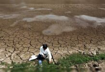 Alerta climática: Regresa fenómeno natural “El Niño” y trae consigo sequías y lluvias extremas