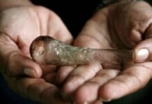 Metanfetaminas, drogas de mayor impacto en México, reporta López-Gatell
