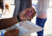 Salud Michoacán ofrece vacunación antirrábica gratuita canina y felina en Centro de Morelia