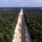 Obras del Tren Maya han generado una ‘destrucción brutal’ de la selva: CEMDA