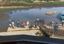 Así avanzan los trabajos para rescatar el Lago de Pátzcuaro
