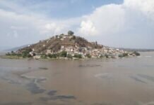 Plantarán 1.5 millones de árboles para salvar el lago de Pátzcuaro