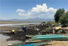 Empleo temporal beneficia a más 800 personas con rescate del lago de Pátzcuaro