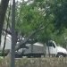 Tromba Deja Daños por Caída de Arboles e Inundaciones en Uruapan
