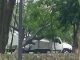Tromba Deja Daños por Caída de Arboles e Inundaciones en Uruapan