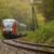 Asamblea Maya Exige Suspender Definitivamente Proyecto del Tren Maya