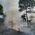 Se Registra Incendio Forestal en la Localidad de Mata de Plátano