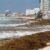 Qué Pasa si Nadas en una Playa con Sargazo