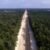 Obras del Tren Maya han generado una 'destrucción brutal' de la selva: CEMDA