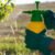 Deben agroquímicos verse como “la medicina del campo”, según UMFFAAC