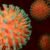 OMS muestra "una enorme preocupación" por transmisión de gripe aviar H5N1 a humanos
