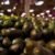 México y Estados Unidos acuerdan un plan para liberar la exportación del aguacate de Michoacán